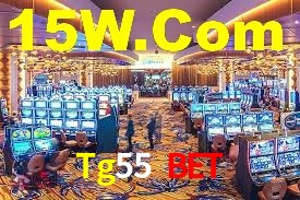 Tg55 Bet App Interface