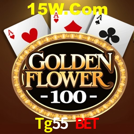 Interface do App Tg55 Bet